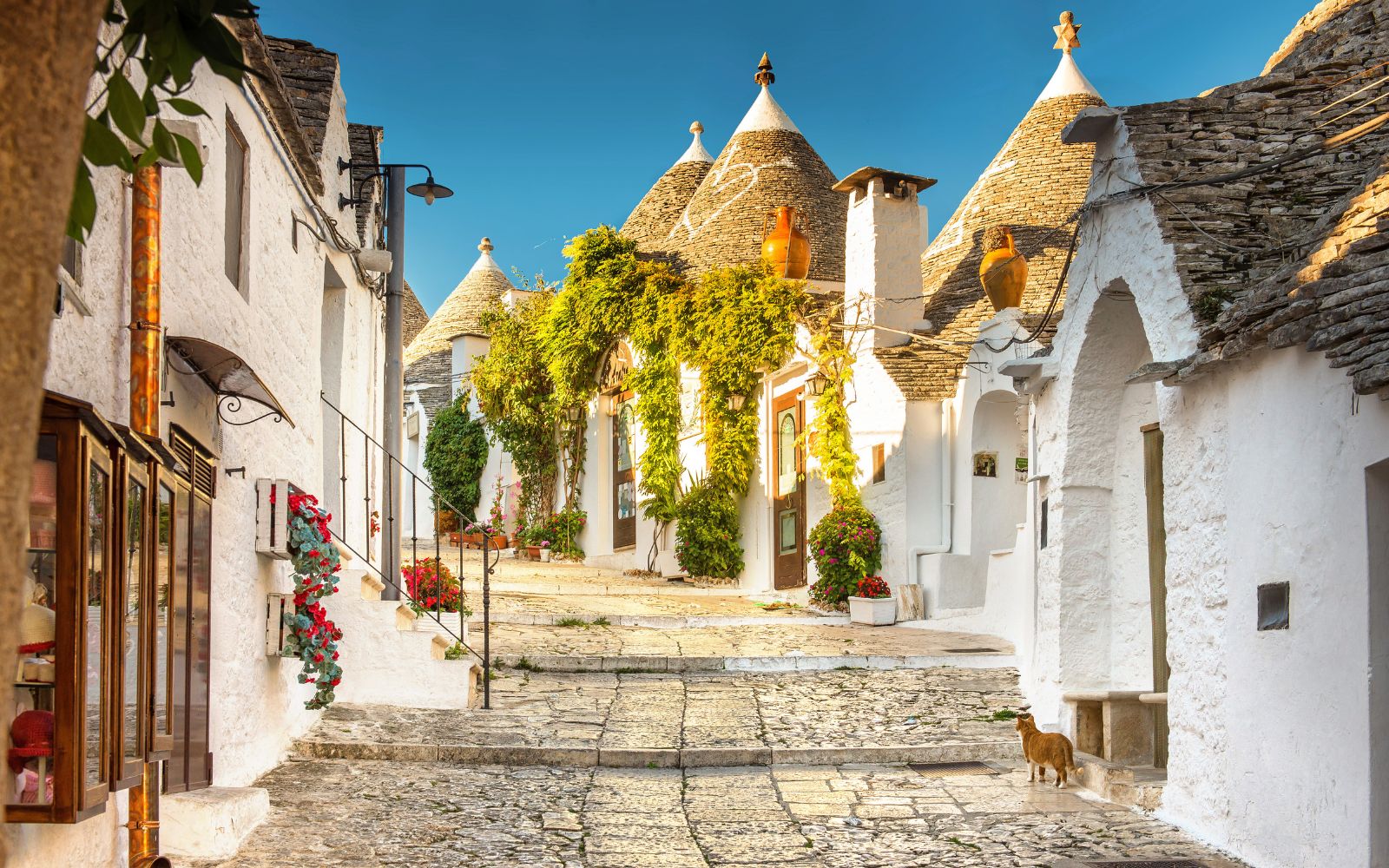 15 Best Things To Do in Alberobello, Italy