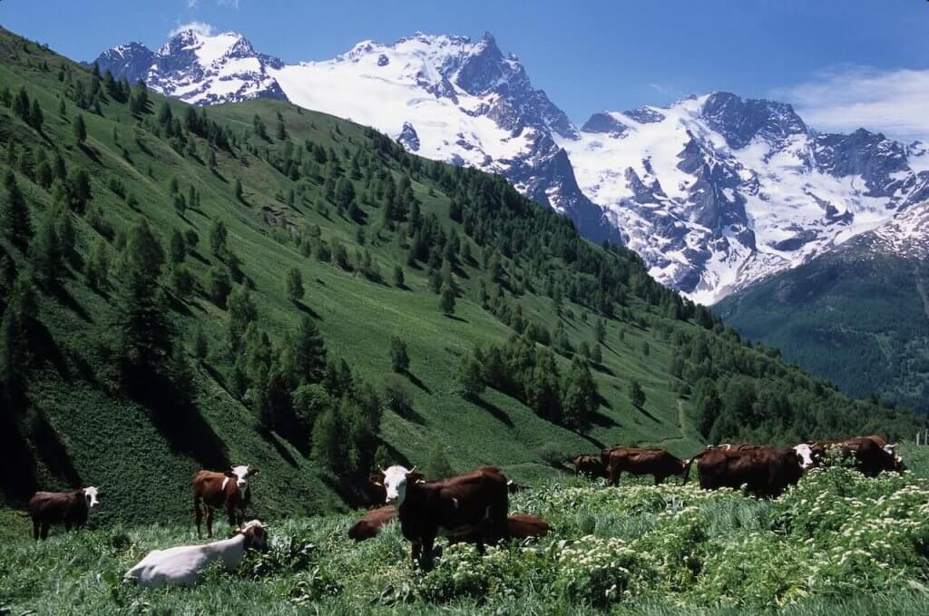 The French Alps-  Best Solo Travel Destinations In Western Europe