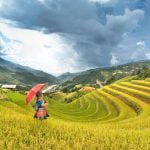 Discovering the Best Solo Travel Destinations in Asia