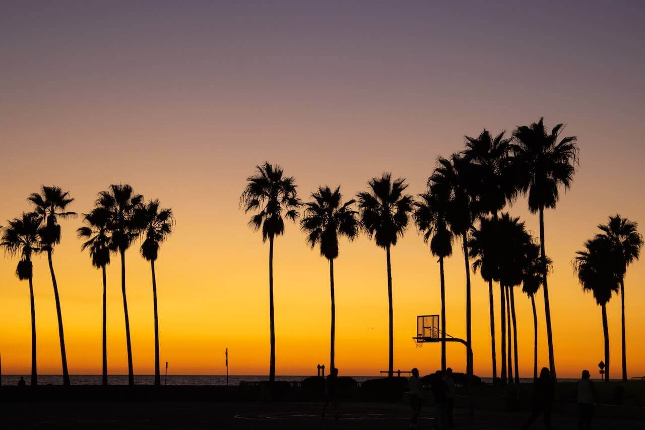 Travel Guide To Venice Beach, Los Angeles