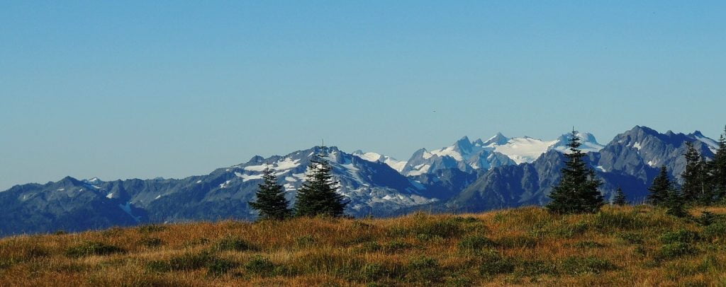 About Olympic National Park