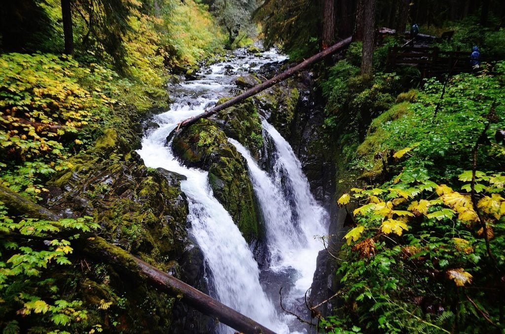 Attractions At Olympic National Park
