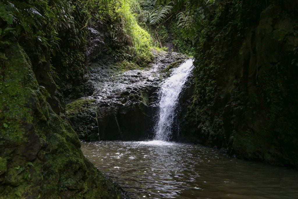 Maunawili Trail - Best Hiking Trail in Hawaii