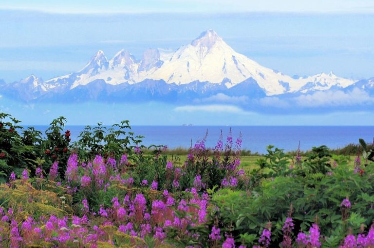 Budget Travel to Alaska: How to Explore the Last Frontier Without Breaking the Bank in 2023