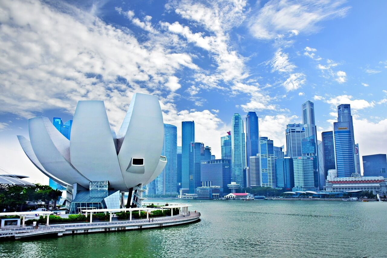 Travel To Singapore Without Passport