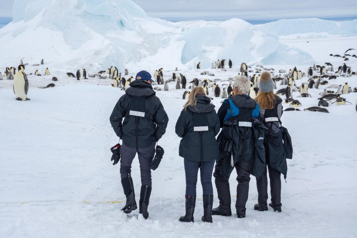 Scenic opens 2025/26 bookings for ultra-luxury exploration of Antarctica