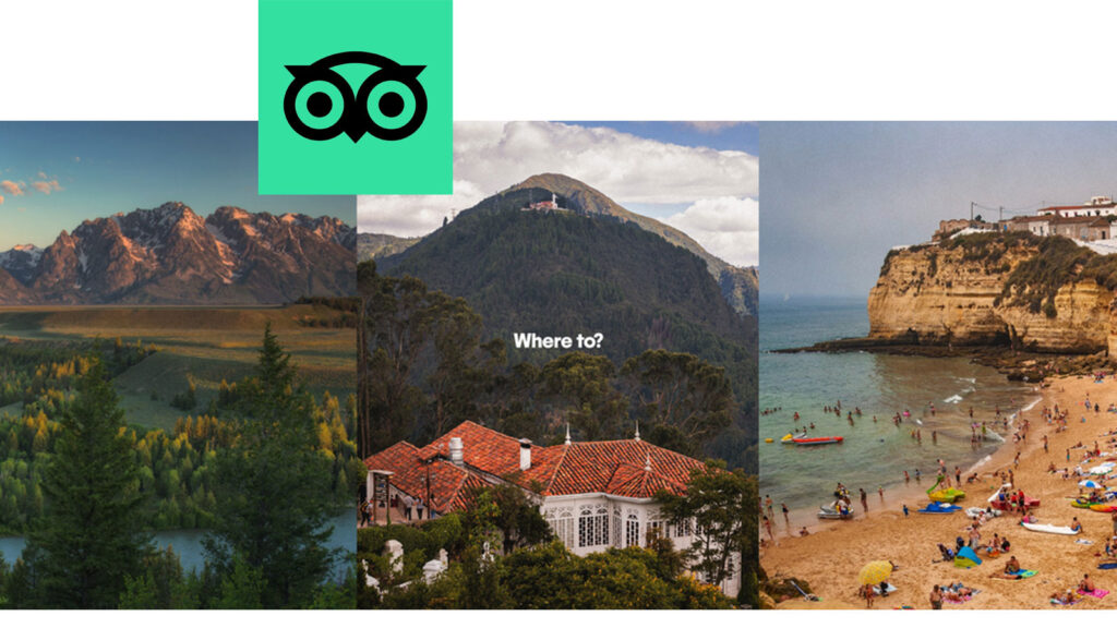 Tripadvisor formats special committee to evaluate any proposals for a potential transaction