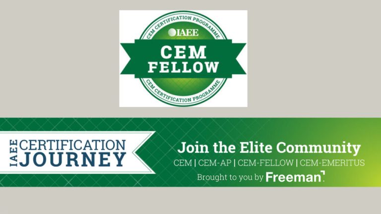 IAEE launches CEM Fellows Program