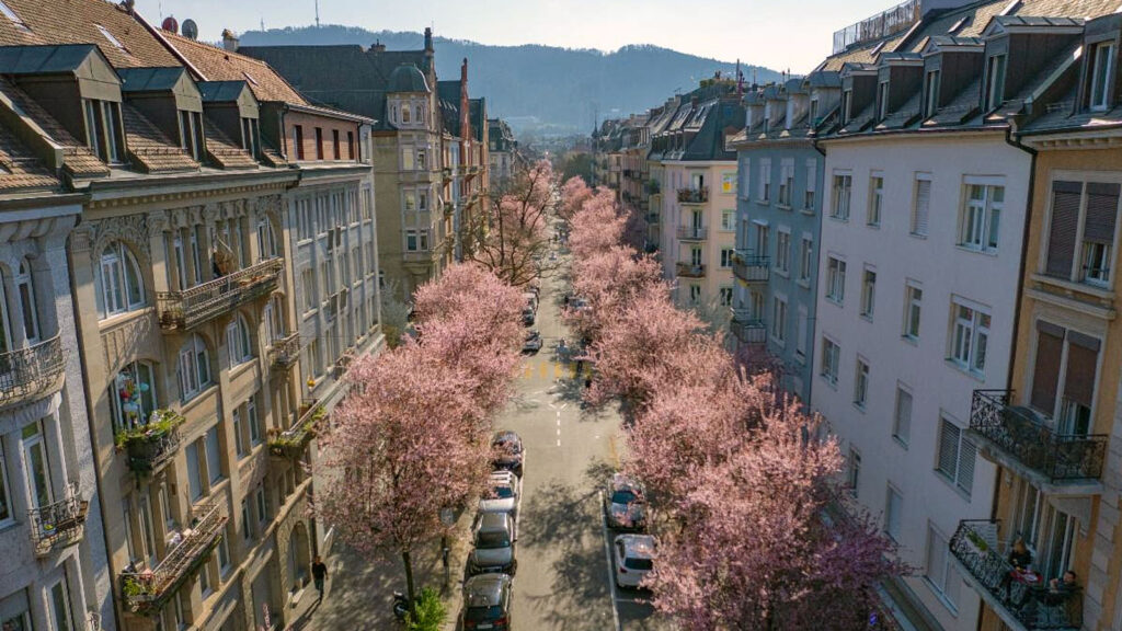 Zurich becoming creativity hotspot of Europe