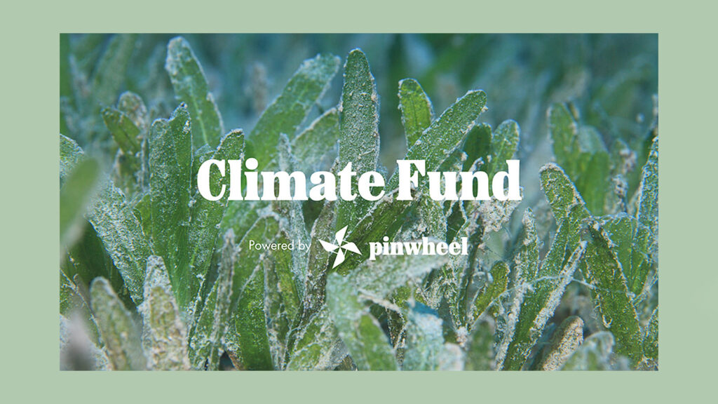 The Conscious Travel Foundation launches a collaborative Climate Fund for members – in partnership with Pinwheel 