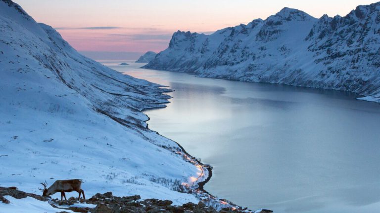 SAS expands connectivity to Scandibavian Winter destinations